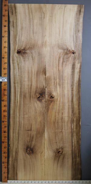 AAAA CURLY MYRTLEWOOD LIVE EDGE BOOKMATCH 41" X 103" X 4/4 (NWT-B9755)