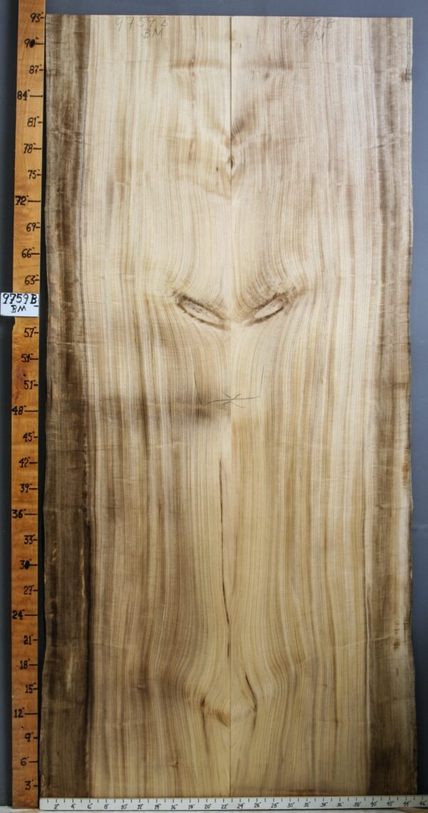 AAAAA CURLY MYRTLEWOOD BOOKMATCH WITH LIVE EDGE 42" X 93" X 5/4 (NWT-9759B)