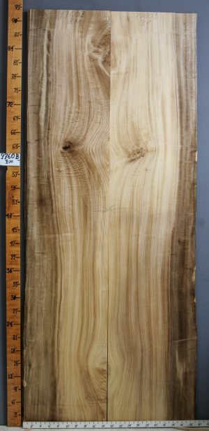 AAAAA CURLY MYRTLEWOOD BOOKMATCH WITH LIVE EDGE 37" X 92" X 5/4 (NWT-9760B)