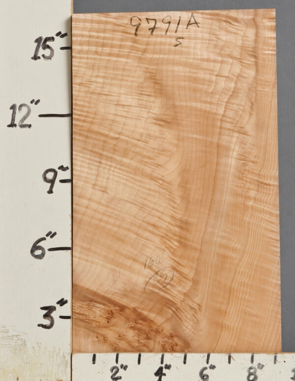 CURLY MAPLE BLOCK 9" X 16"1/2 X 2"3/4 (NWT9791A)