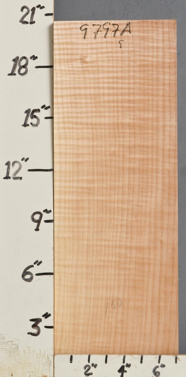 MUSICAL CURLY MAPLE BILLET 7" X 20"1/2 X 1"7/8 (NWT9797A)