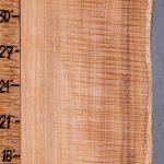 5A Curly Maple Lumber with Live Edge 11"1/2 X 46" X 8/4 (NWT-8045C)