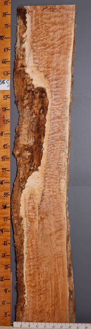 5A Spalted Quilted Maple Lumber with Live Edge 12" X 80" X 8/4" (NWT-8056C)