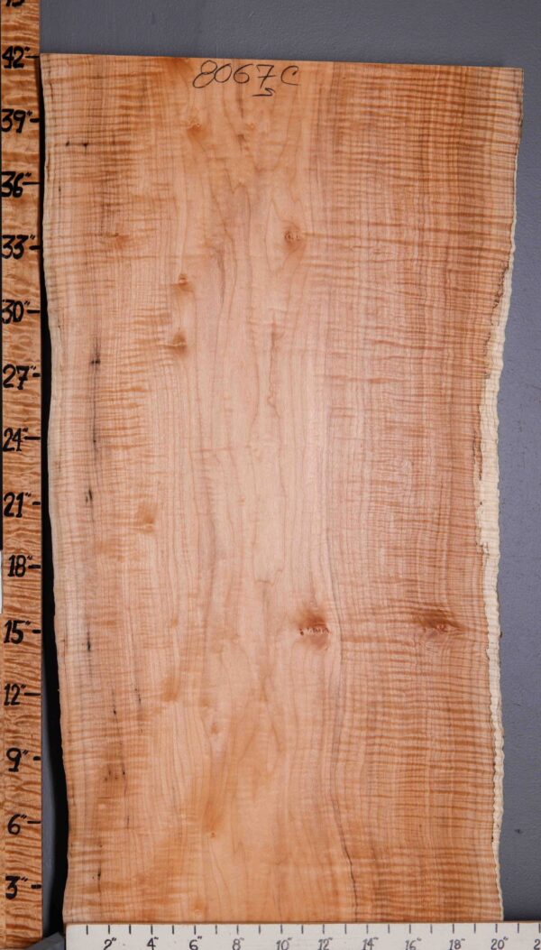 5A Spalted Curly Maple Lumber with Live Edge 17" X 41" X 8/4" (NWT-8067C) - Image 2