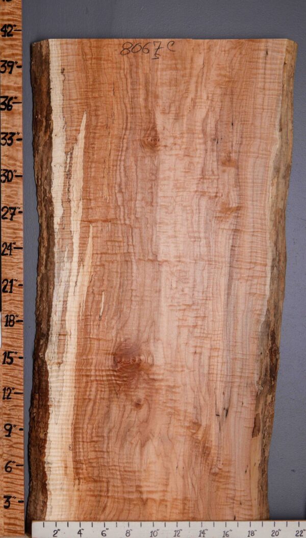 5A Spalted Curly Maple Lumber with Live Edge 17" X 41" X 8/4" (NWT-8067C)