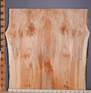 5A Spalted Curly Maple Lumber with Live Edge 35" X 38" X 4/4" (NWT-8072C)