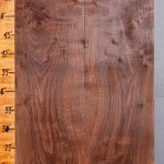 4A Marbled Claro Walnut Lumber 22"1/4 X 73" X 4/4 (NWT-8114C)