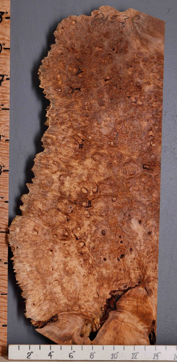 5A Burl Spalted Maple Lumber with Live Edge 14" X 32" X 2"1/4 (NWT-8153C)
