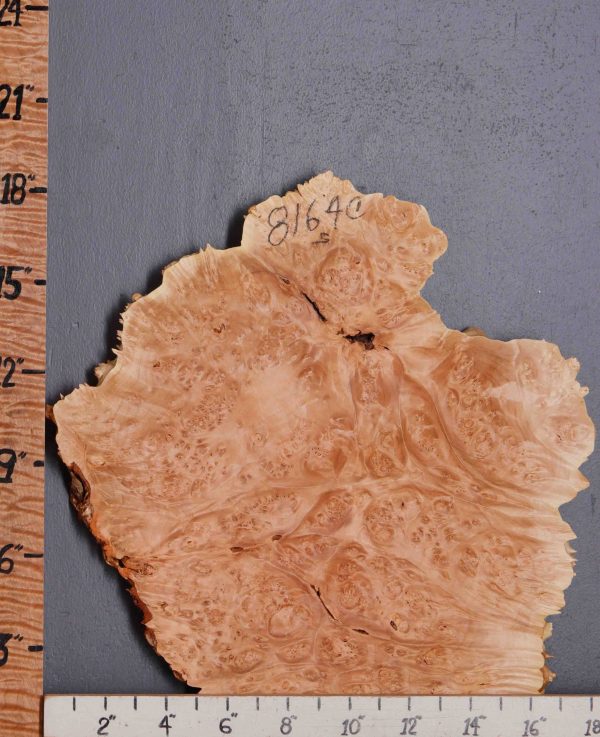 5A Burl Maple Lumber with Live Edge 18" X 18" X 1"1/8 (NWT-8164C)
