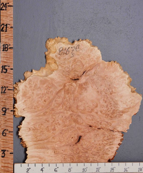 5A Burl Maple Lumber with Live Edge 18"1/2 X 19" X 7/8 (NWT-8167C)