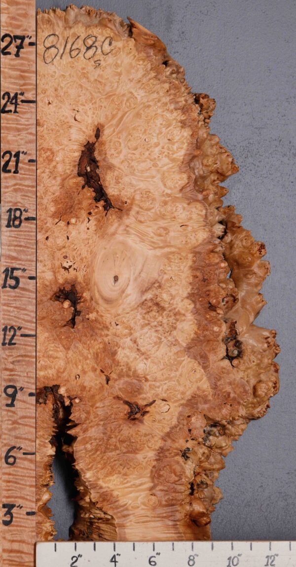 5A Burl Spalted Maple Lumber with Live Edge 13" X 28" X 2"1/2 (NWT-8168C)