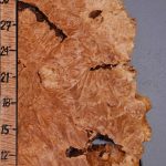 5A Burl Maple Lumber with Live Edge 15" X 36" X 7/8 (NWT-8172C)