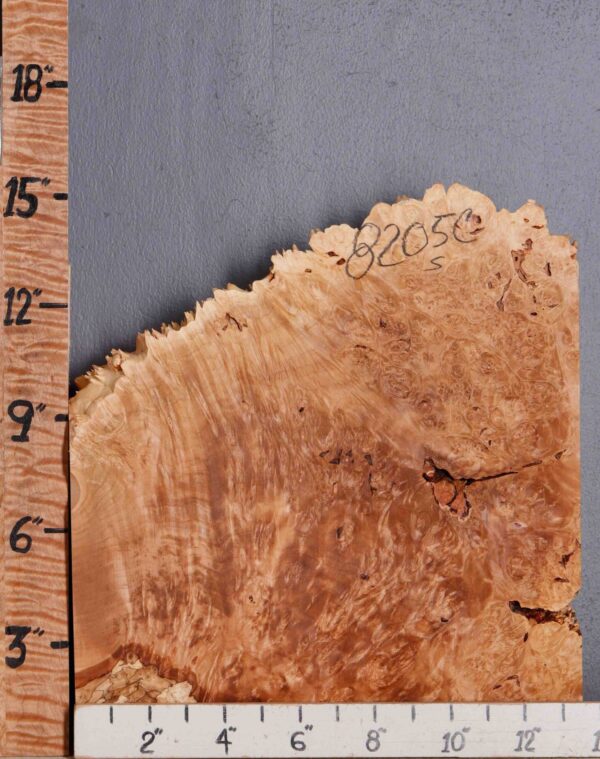 5A Burl Maple Lumber Block with Live Edge 13"1/2 X 15" X 2"7/8 (NWT-8205C) - Image 2