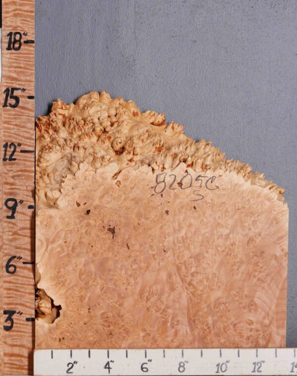 5A Burl Maple Lumber Block with Live Edge 13"1/2 X 15" X 2"7/8 (NWT-8205C)