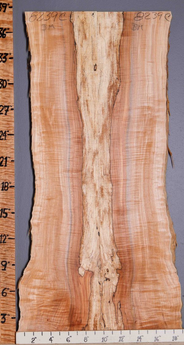 5A Spalted Curly Maple Bookmatch with Live Edge 16" X 38" X 5/8 (NWT-8239C)