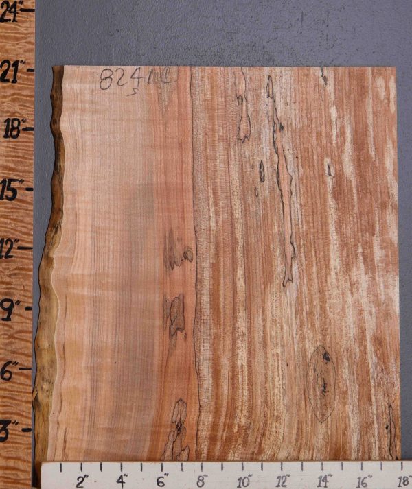 5A Curly Spalted Maple Lumber with Live Edge 17" X 21" X 5/8 (NWT-8241C)
