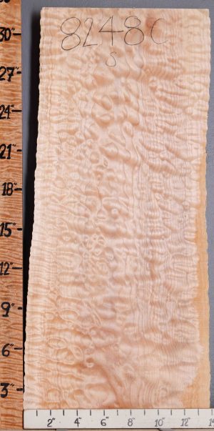 Musical Quilted Maple Block with Live Edge 9" X 31" X 1"7/8 (NWT-8248C)