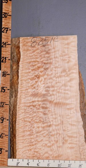 Musical Quilted Maple Block with Live Edge 11" X 25" X 2 (NWT-8251C)