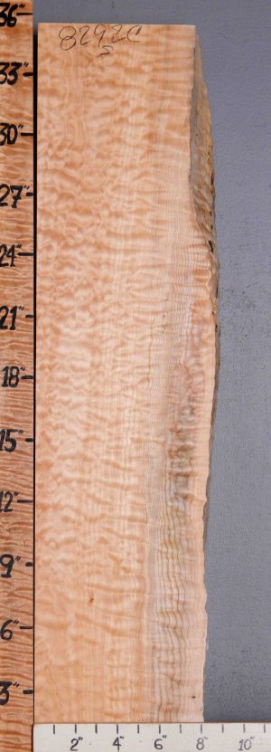 Musical Quilted Maple Block with Live Edge 7"1/2 X 35" X 1"5/8 (NWT-8292C)
