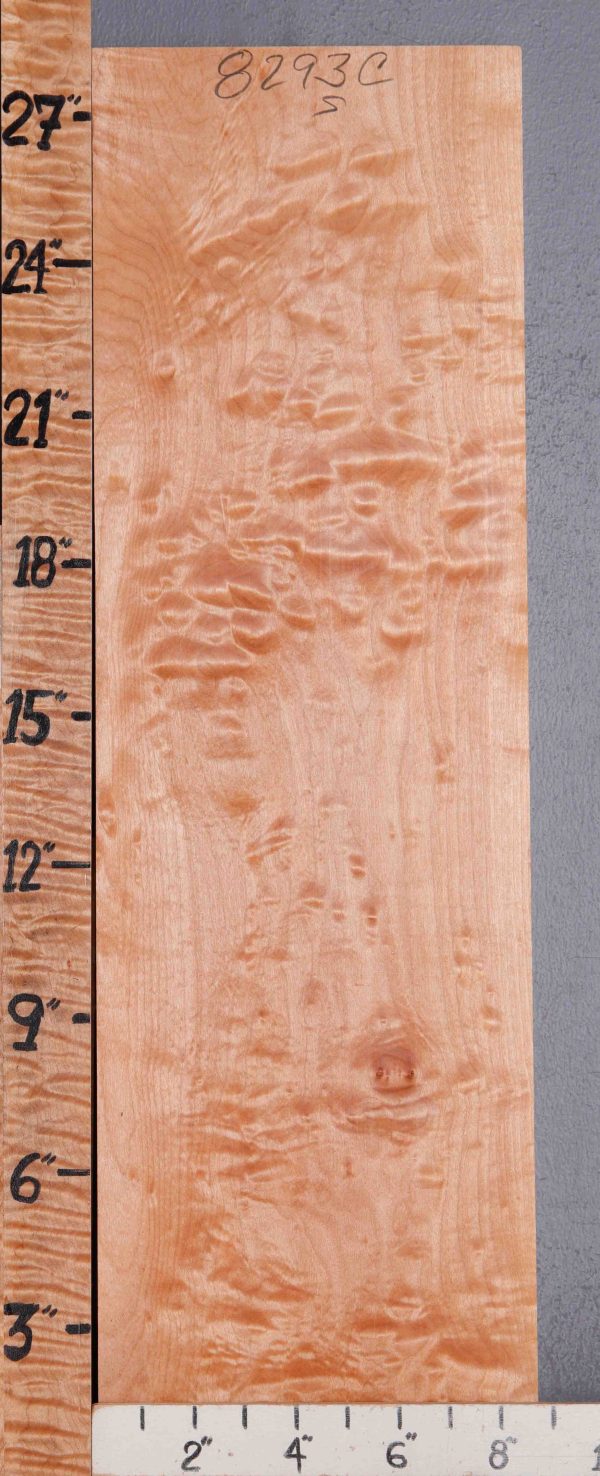 Musical Quilted Maple Block 8"1/2 X 28" X 1"1/4 (NWT-8293C)
