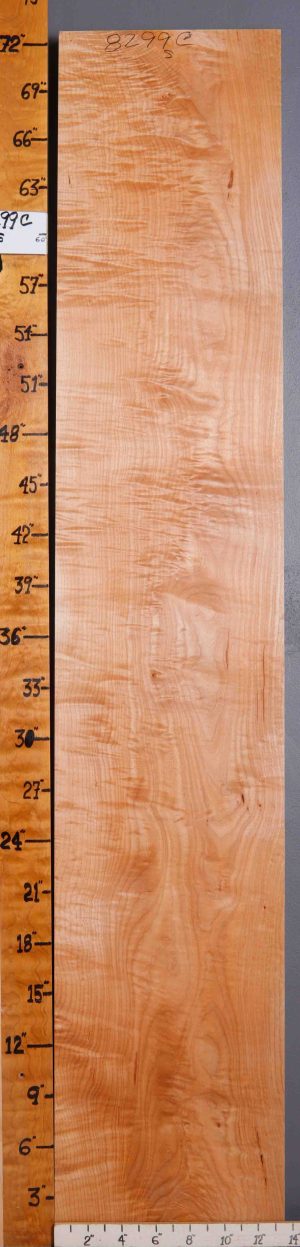 5A Curly Maple Lumber 13"1/2 X 72" X 6/4 (NWT-8299C)