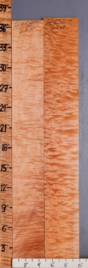 5A Quilted Maple 2 Board Set Lumber 9"3/4 X 36" X 5/4 (NWT-8358C)