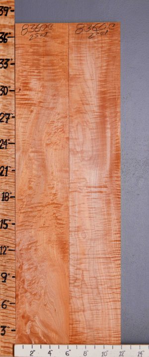 5A Curly Maple 2 Board Set Lumber 11"3/4 X 36" X 5/4 (NWT-8360C)