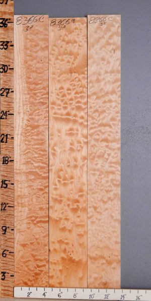 5A Quilted Maple 3 Board Set Lumber 13"3/4 X 36" X 4/4 (NWT-8366C)