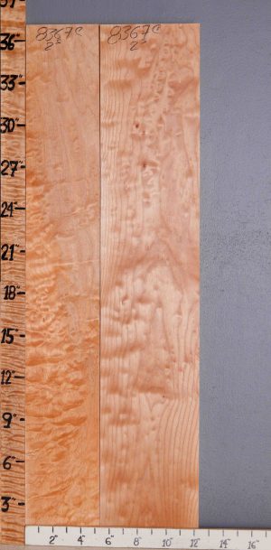 5A Quilted Maple 2 Board Set Lumber 12"1/4 X 36" X 4/4 (NWT-8367C)