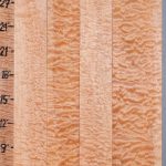 5A Quilted Maple 4 Board Set Lumber 18"2/4 X 30" X 4/4 (NWT-8378C)