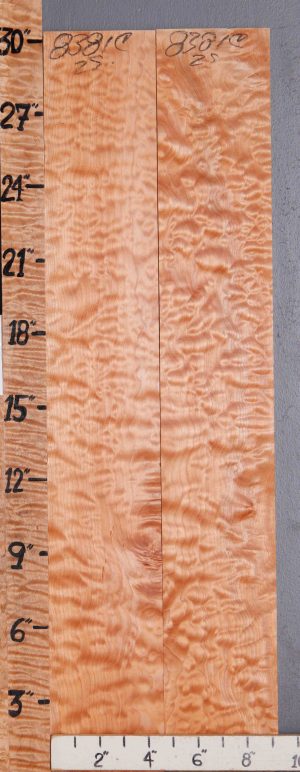 5A Quilted Maple 2 Board Set Lumber 9"1/4 X 30" X 4/4 (NWT-8381C)