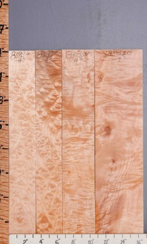 5A Quilted Maple 4 Board Set Lumber 16"1/4 X 24" X 4/4 (NWT-8383C)