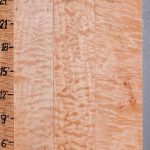 5A Quilted Maple 3 Board Set Lumber 16"1/4 X 24" X 4/4 (NWT-8384C)