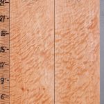 5A Quilted Maple 2 Board Set Lumber 17"1/2 X 24" X 4/4 (NWT-8388C)