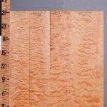 5A Quilted Maple 4 Board Set Lumber 21" X 24" X 4/4 (NWT-8391C)