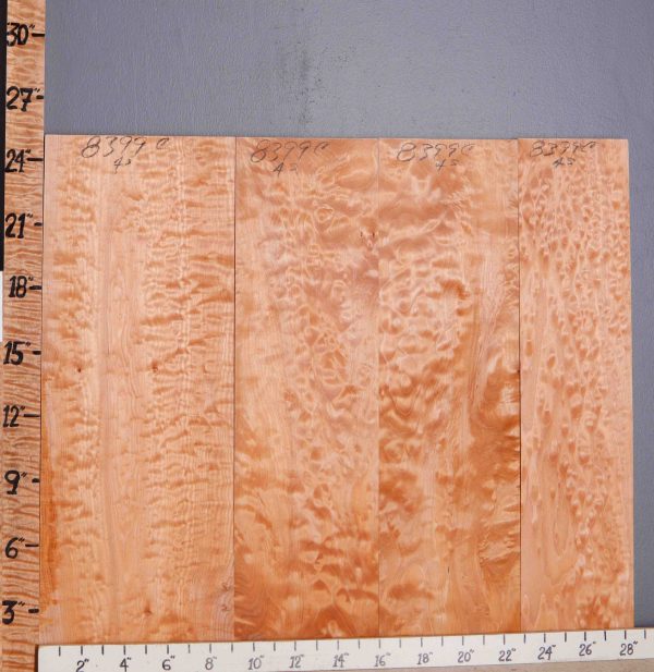 5A Quilted Maple 4 Board Set Lumber 28"2/4 X 24" X 4/4 (NWT-8399C)