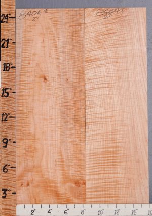 5A Curly Maple 3 Board Set Lumber 16" X 24" X 4/4 (NWT-8404C)