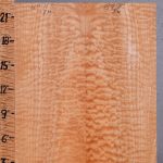 Musical Quilted Maple Bookmatch Microlumber 17"3/4 X 22" X .160" (NWT-8471C)