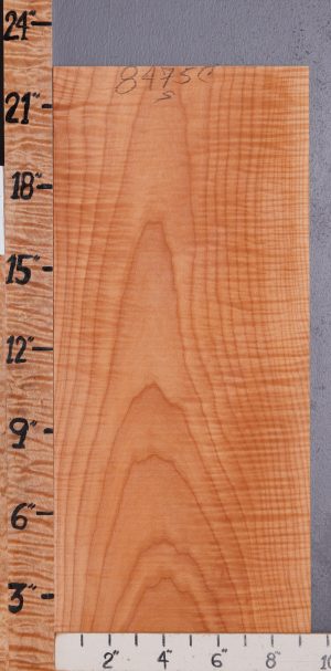 Musical Curly Maple Microlumber 9"1/2 X 22" X 1/8 (NWT-8475C)
