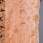 5A Curly Cherry Lumber with Live Edge 11"1/2 X 24" X 4/4 (NWT-8562C)