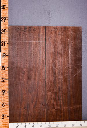 5A Marbled Claro Walnut Lumber 2 Board Set 18"1/2 X 25" X 3/4 (NWT-8583C)