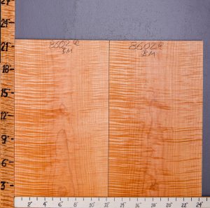 Musical Curly Maple Bookmatch Microlumber 24"3/8 X 21" X .625" (NWT-8602C)