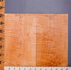 Musical Curly Maple Bookmatch Microlumber 24"3/8 X 21" X 5/8" (NWT-8603C)