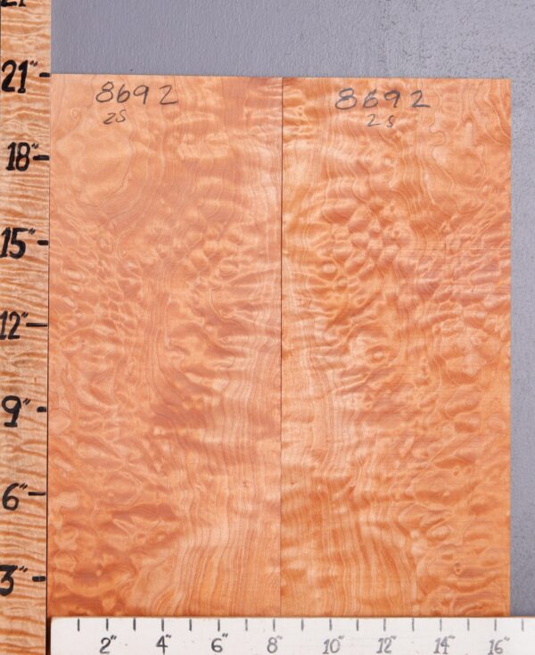 Musical Quilted Maple Bookmatch Microlumber 16"3/4 X 21" X 1/4" (NWT-8692C) - Image 2