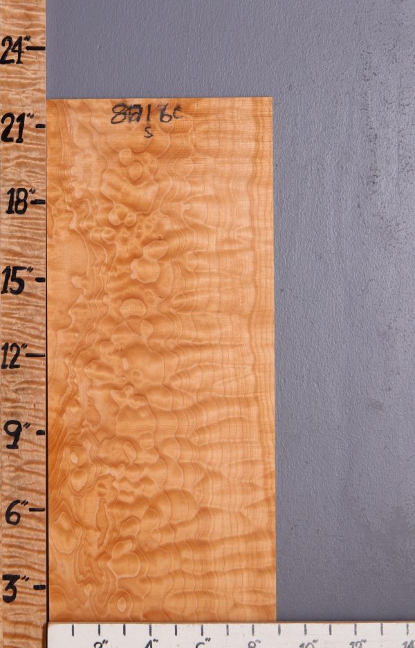 Musical Quilted Maple Microlumber 9" X 22" X 1/4" (NWT-8716C)