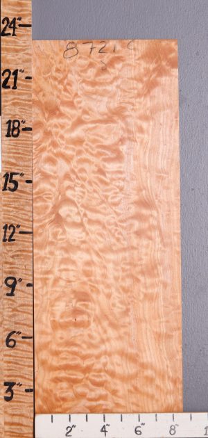 Musical Quilted Maple Microlumber 8"5/8 X 23" X 1/4" (NWT-8721C)