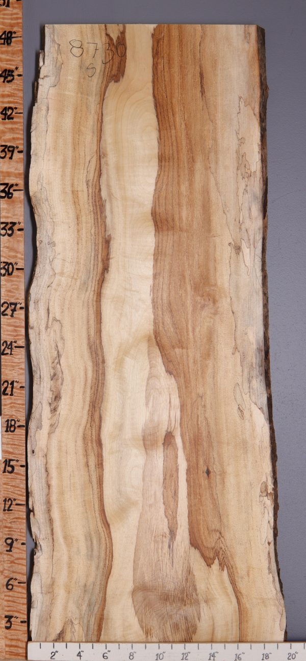 5A Spalted Curly Myrtlewood Lumber with Live Edge 18" X 48" X 4/4 (NWT-8730C)
