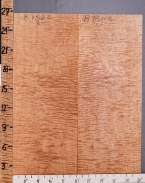 5A Curly Maple Microlumber Bookmatch 20"3/8 X 26" X 1/4 (NWT-8756C)