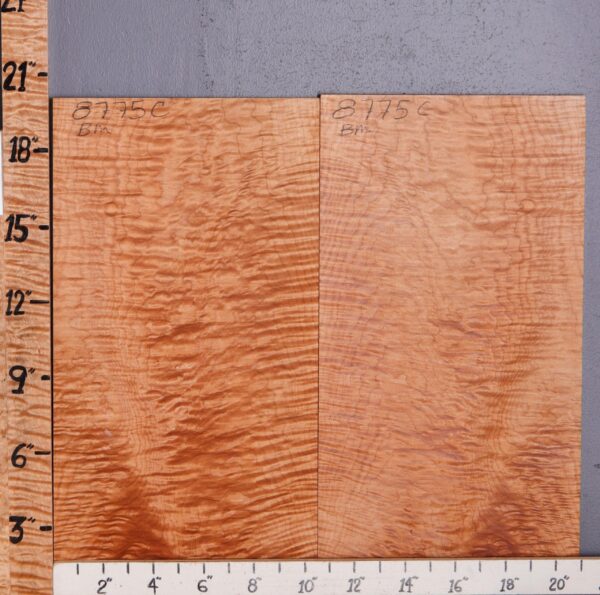 Musical Curly Maple Microlumber Bookmatch 21" X 19" X 1/4 (NWT-8775C) - Image 2