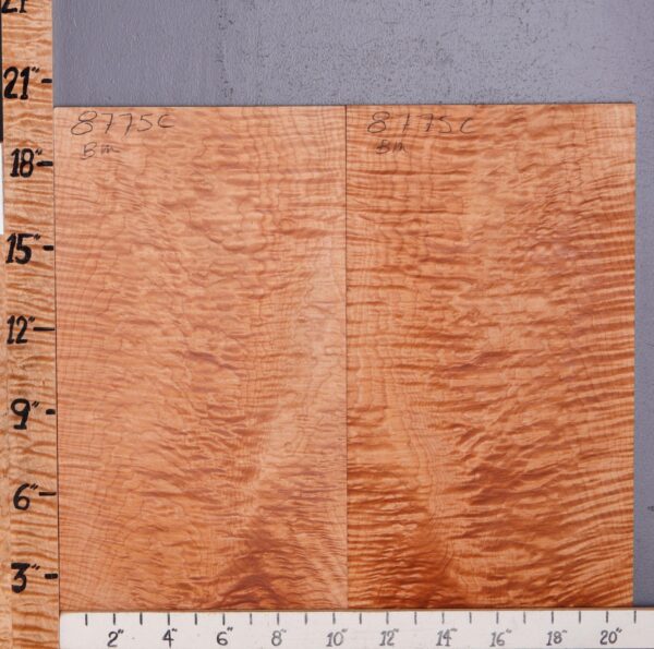 Musical Curly Maple Microlumber Bookmatch 21" X 19" X 1/4 (NWT-8775C)